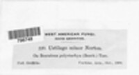 Image Associated With the Occurence